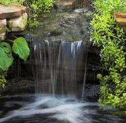 User Profile: RuminationPond
