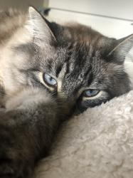 User Profile: KendraS26