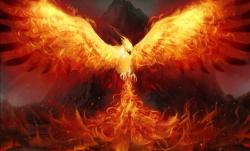 User Profile: SilverPheonixSkies