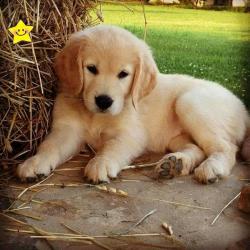 User Profile: kendall0707