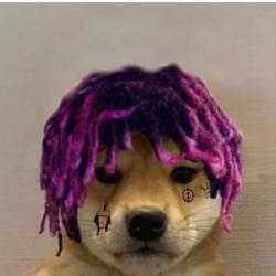 User Profile: narcosleepy