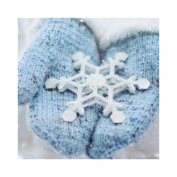 User Profile: Snowflake4809