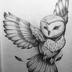 User Profile: colorfulHeart85