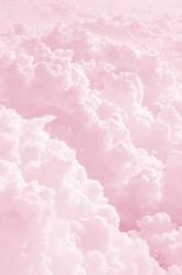 User Profile: zenaidazafira