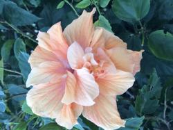 User Profile: peacefulTime1414