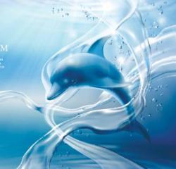 User Profile: PurposefulPorpoise