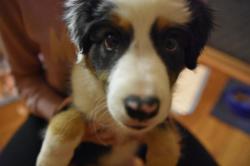 Profile: CaringAndCompassionateCandice
