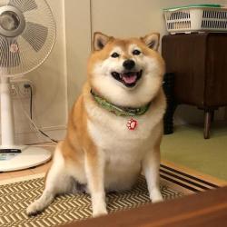 User Profile: Kaeky