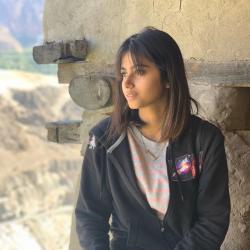 User Profile: Ireshamwala