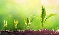 User Profile: Holisticgrowth