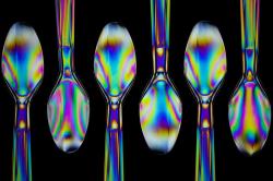 User Profile: SpoonTheory