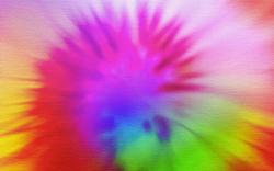 Profile: annieluvsflowers