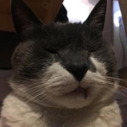 User Profile: rein1212