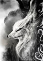 User Profile: HealingFox210
