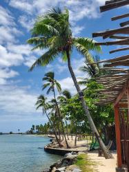 User Profile: Island28