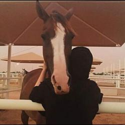 User Profile: Desert92