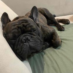 User Profile: Broooo