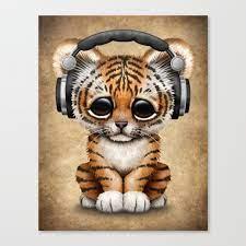 User Profile: optimistictiger5514
