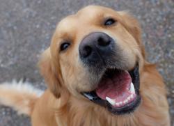 Profile: Hugs4ugoodvibes
