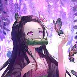 User Profile: mysteriousLake2590
