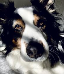 User Profile: EmpathicRiver1a