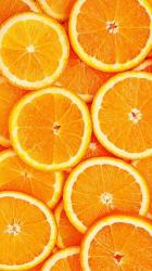 User Profile: itspetrichor
