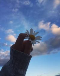 User Profile: S4R4