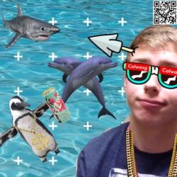 Profile: Lukedurrett