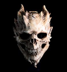 User Profile: ells5630474