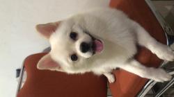 User Profile: itsprincxssprairie