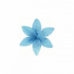 User Profile: rainyShiny1769