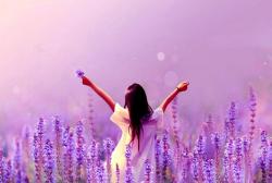 User Profile: LavenderAid01