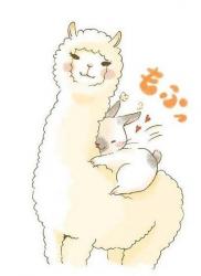 User Profile: CuddlyLlama