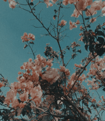 User Profile: lolasam