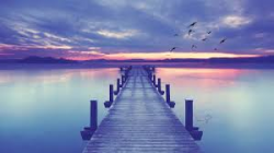 User Profile: latenightoverthinker