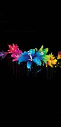 User Profile: Shehneela