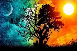 Profile: enchantingsoul2424