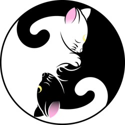 Profile: ItsLilium