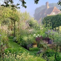 User Profile: wonderfulMeadows