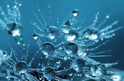 User Profile: RhythmOfRain