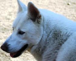 Profile: SashaSue