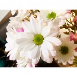 User Profile: helpfulRainfall22