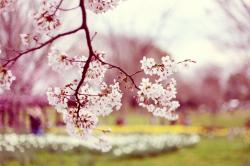 Profile: FloraLuna