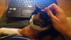 User Profile: SamofWonders