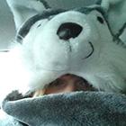 User Profile: ToyZ
