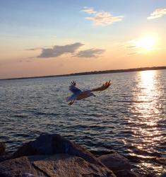 User Profile: KayaKer
