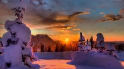 Profile: SnowflakeWinter16