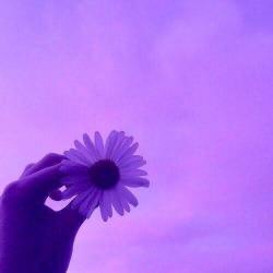 Profile: VioletListens1