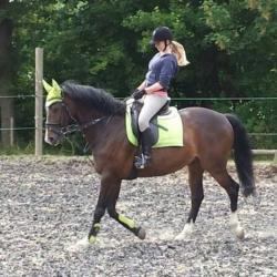 User Profile: helpingromy2000