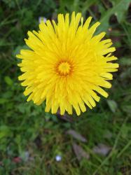 User Profile: compassionateButterfly123